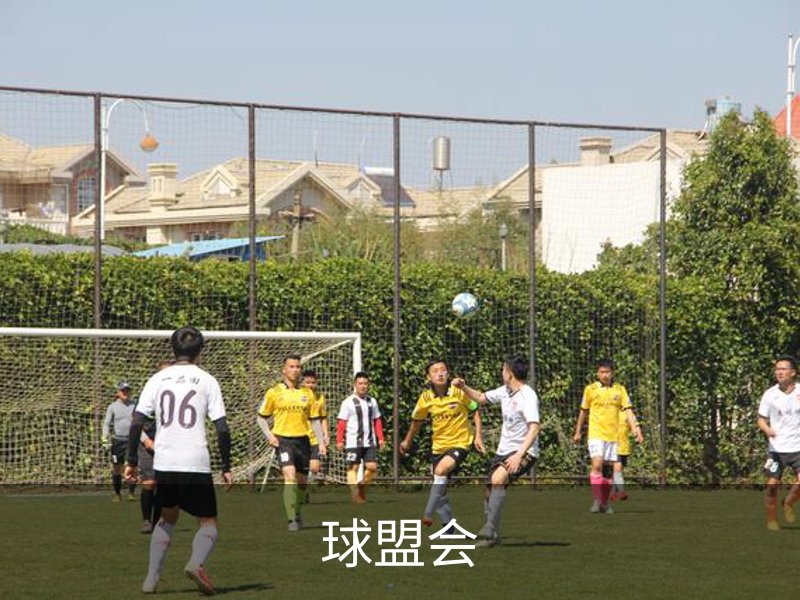 球盟会介绍